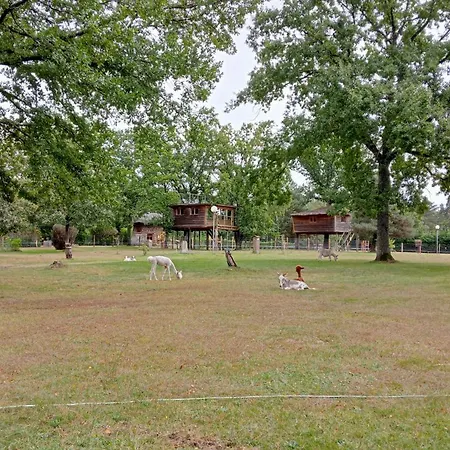 Le Nid Dans Les Bruyeres 3*