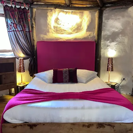 Le Nid Dans Les Bruyeres