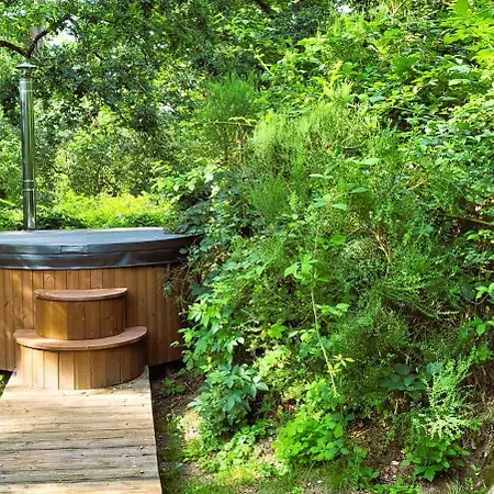 ベッド・アンド・ブレックファスト Le Nid Dans Les Bruyeres フェール・アン・タルドノワ