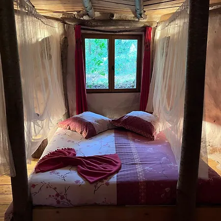 Bed & Breakfast Le Nid Dans Les Bruyeres