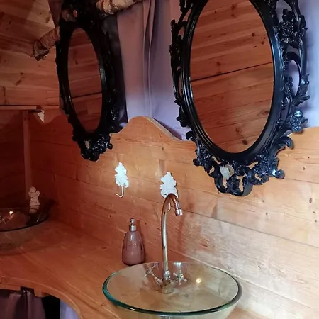 Le Nid Dans Les Bruyeres