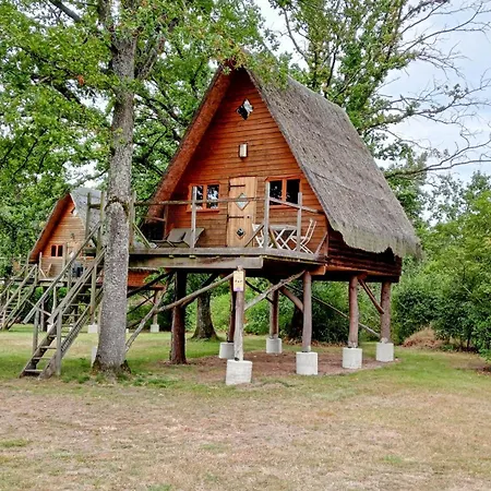 Le Nid Dans Les Bruyeres Bed and Breakfast Fère-en-Tardenois