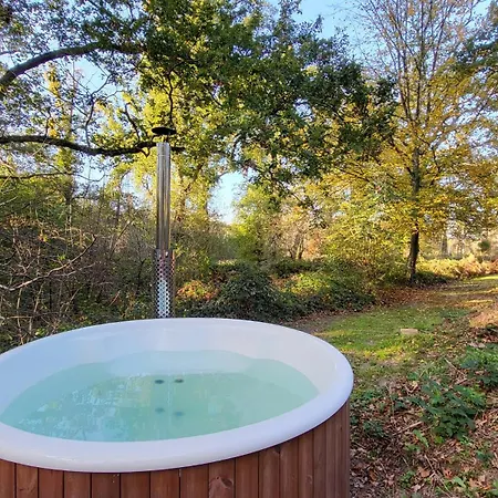 Le Nid Dans Les Bruyères