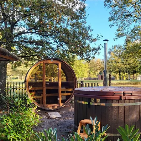 Bed & Breakfast Le Nid Dans Les Bruyeres