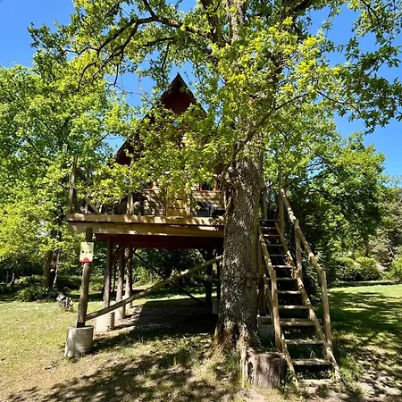 Le Nid Dans Les Bruyères Couette-café Fère-en-Tardenois