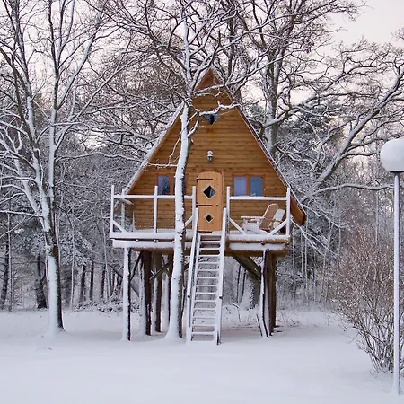 Le Nid Dans Les Bruyères Couette-café