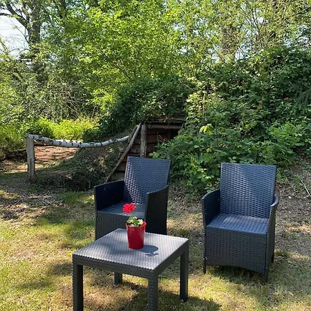 Le Nid Dans Les Bruyeres ベッド・アンド・ブレックファスト フェール・アン・タルドノワ