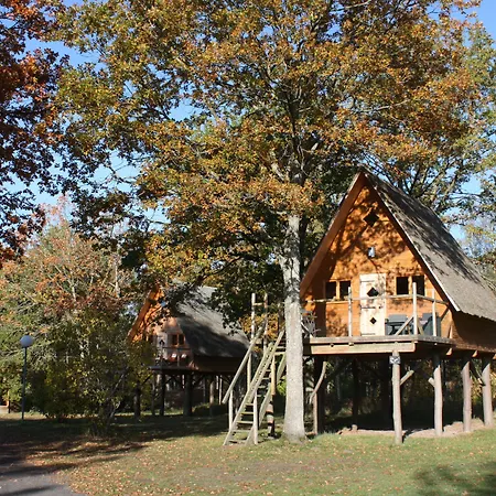 Le Nid Dans Les Bruyères Couette-café