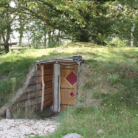 Le Nid Dans Les Bruyeres