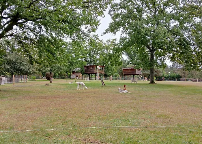 Le Nid Dans Les Bruyeres 3*