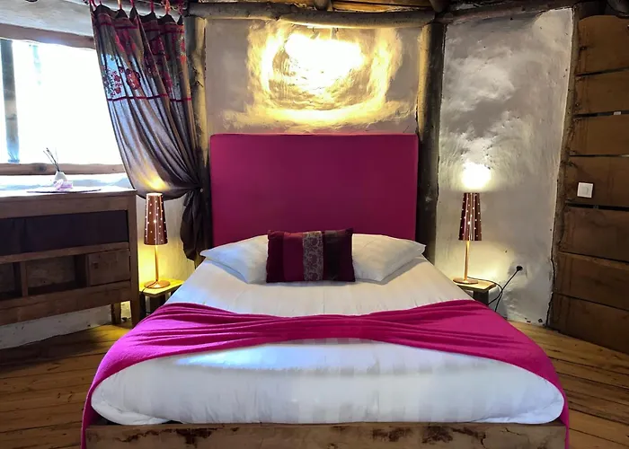 Le Nid Dans Les Bruyeres