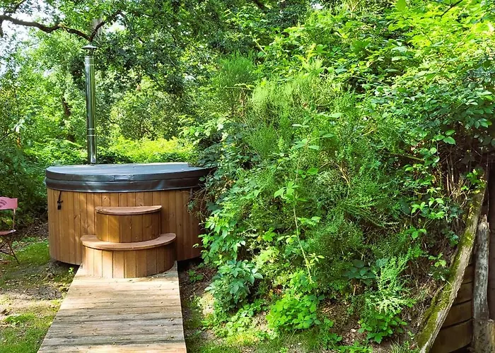 Bed & Breakfast Le Nid Dans Les Bruyeres Fere-en-Tardenois