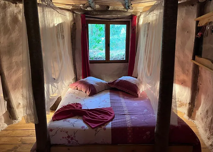 Bed & Breakfast Le Nid Dans Les Bruyeres