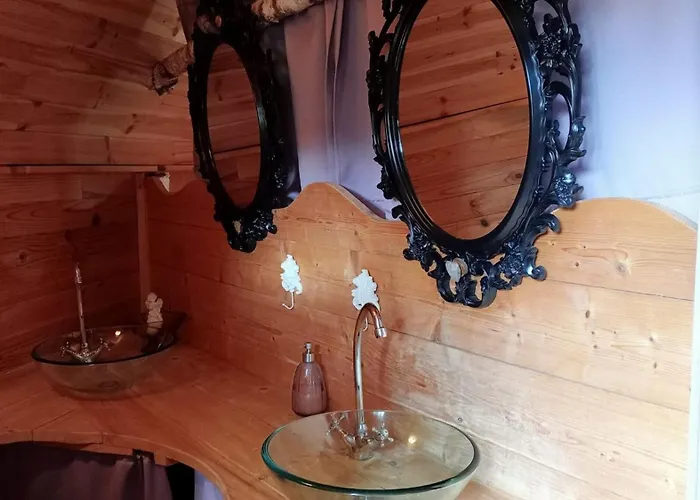 Le Nid Dans Les Bruyeres