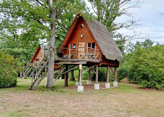 Le Nid Dans Les Bruyeres Bed & Breakfast Fere-en-Tardenois