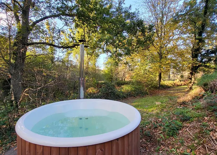 Le Nid Dans Les Bruyeres