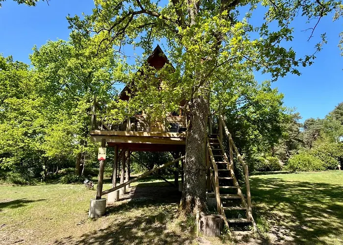 Le Nid Dans Les Bruyeres Bed & Breakfast Fere-en-Tardenois