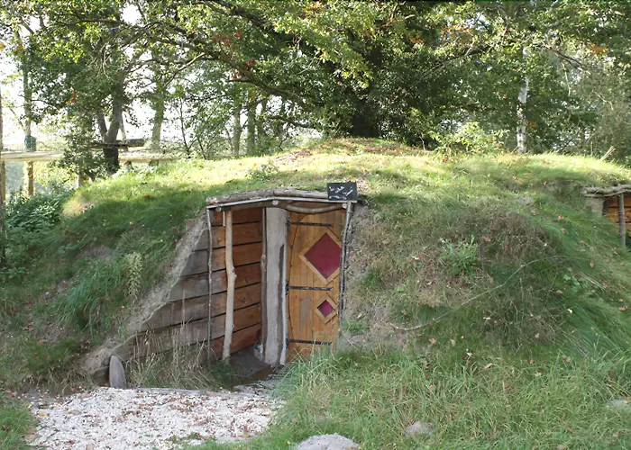 Le Nid Dans Les Bruyeres